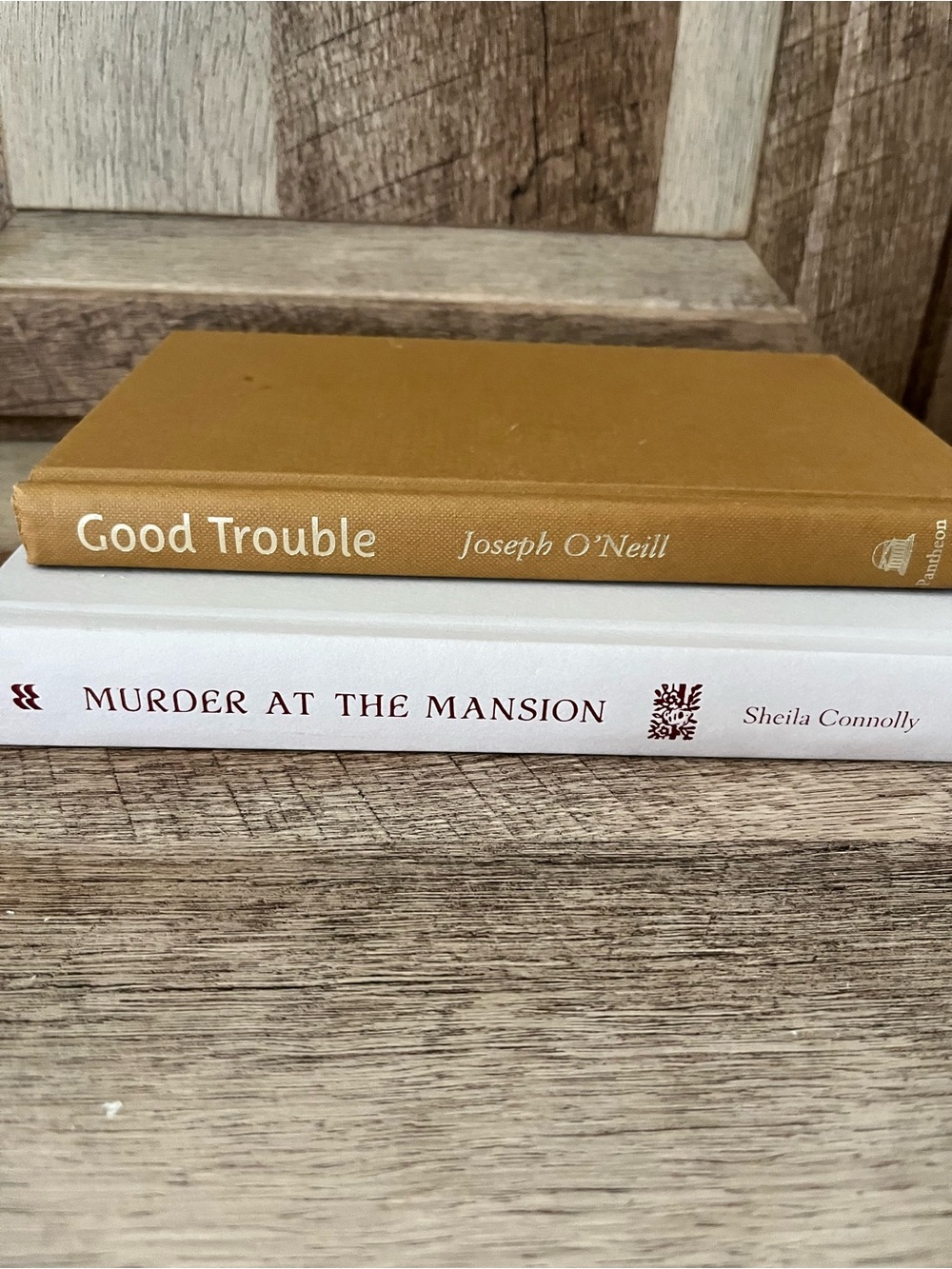 Fiction Hardcover Book Bundle - Set of 2 Great Reads!